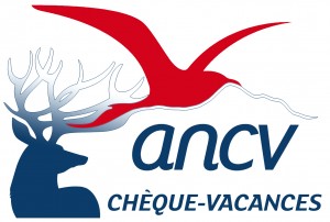 logo_ancv (2)